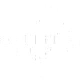 University logo 2